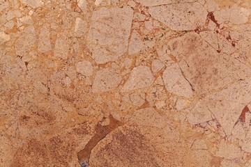 Surface of a brown dolomitic limestone breccia.