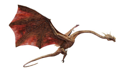 dragon, winged creature isolated on white background 