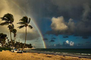beautiful tropical landscape on a rainbow background