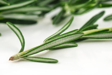 Fototapeta premium Rosemary herb spicy food isolated on white background