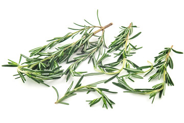Rosemary herb spicy food isolated on white background