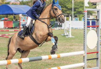 Close up action rider horse jumping over hurdle obstacle during dressage test competition 