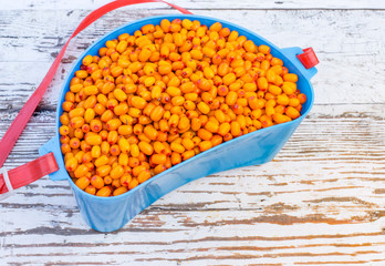 Sea buckthorn in a blue container on a wooden table. Autumn harvest of berries. Useful berry sea buckthorn.