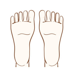 足の裏のイラスト