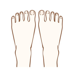 足の甲のイラスト