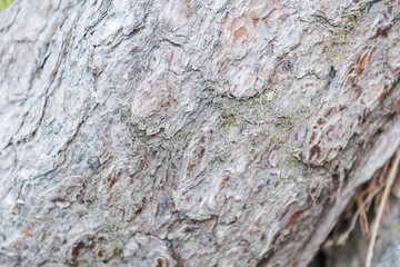 mountain stone texture. Natural stone background. stone close up.