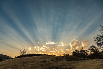 Streaming sunlight from sunrise over grassy hill