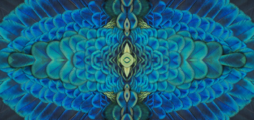 Beautiful pattern abstract background texture made of colorful green peacock feathers (Green peafowl) - Powered by Adobe