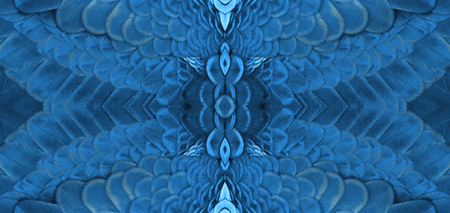 Beautiful pattern abstract background texture made of colorful green peacock feathers (Green peafowl)