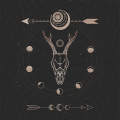 Vector illustration with hand drawn Roe deer skull and Sacred geometric symbol on black vintage background. Abstract mystic sign. © nadezhdash