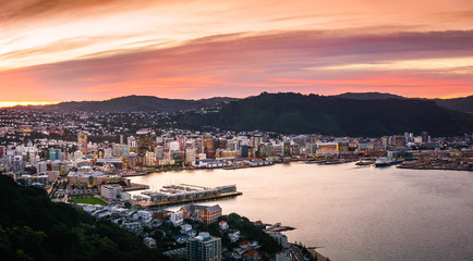 Wellington city and harbour from Mount Victoria at sunset. - obrazy, fototapety, plakaty
