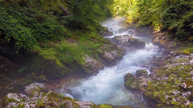 Radovna River flowing fast at Vintagr gorge, Slovenia, with lush green surrounding nature.