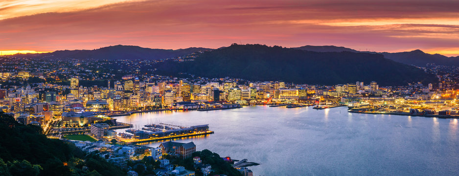Wellington city and harbour from Mount Victoria at sunset.