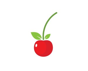 cherry fruit icon vector illustration