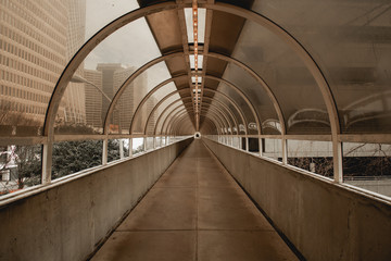 Looking Through Cylinder Bridge Tunnel