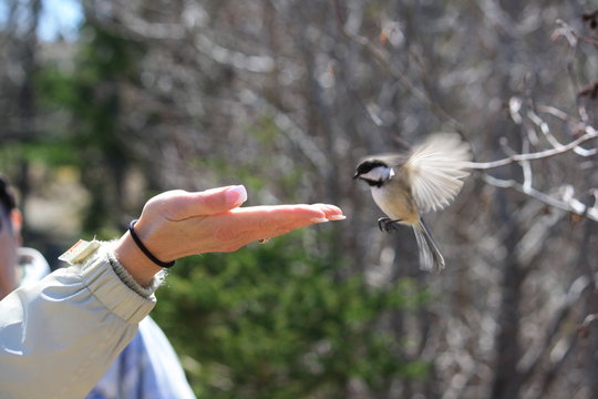 Touching Nature