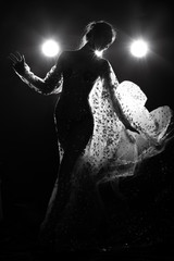 B&W dark tone of Erotic silhouette nice shape Asian woman in Lace see through evening gown splatter...