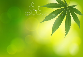 green background. Cannabis marijuana in medical.
