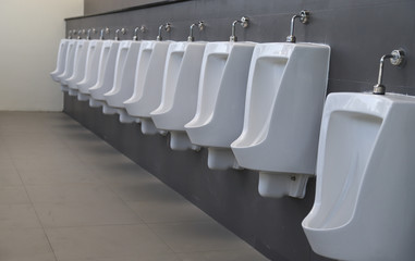 Closeup row of indoor white ceramic male urinals toilet.