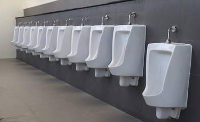Closeup row of indoor white ceramic male urinals toilet.