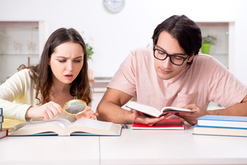 Students preparing for exam together at home