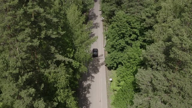 Top view car moving on countryside road through summer forest. Aerial view japanese car driving on country highway past green woodland. Car tourism at summer vacation