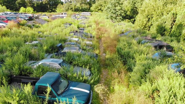Low aerial drone shot of overgrown weeds in vehicle junkyard