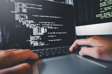 Developing programmer Development Website design and coding technologies working in software...