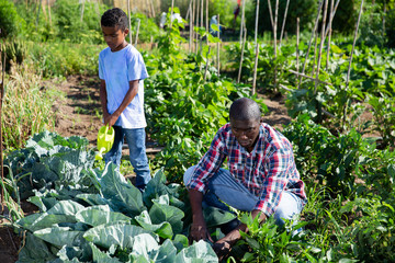 Friendly family works on garden beds