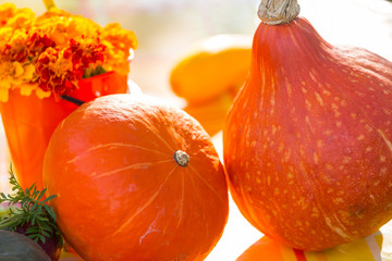 Pumpkin