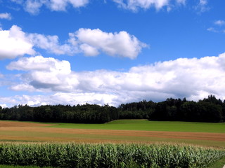 paysages Suisse lac foret montagnes nuages