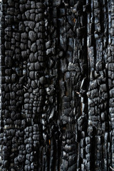 burnt board texture photo close up