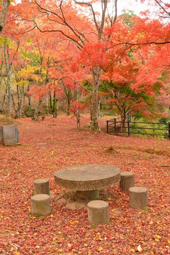 53 件の最適な 笠置山もみじ公園 画像 ストック写真 ベクター Adobe Stock