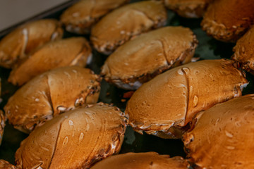 Típico pan dulce mexicano preparado en panadería, llamado pie de queso