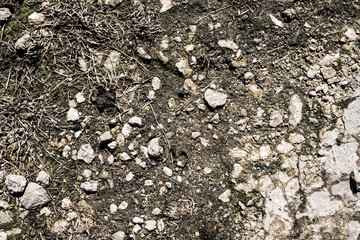 The texture of the earth