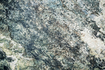 The texture of the stone overgrown with moss. Background image of a boulder