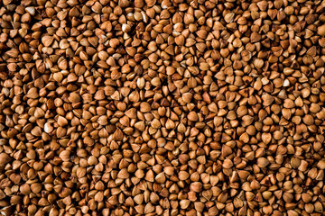 Buckwheat texture. Background image of buckwheat