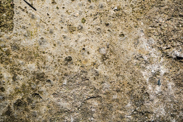 The texture of concrete