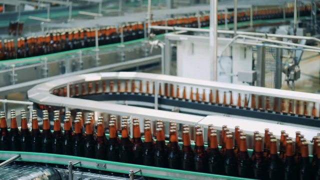 Industrial factory interior, automated conveyors move beer bottles, close up.