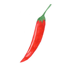 Hand drawn watercolor chili pepper isolated on white