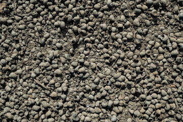 Texture of lifeless river dried river bed