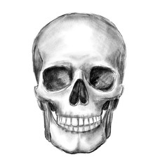 Hand drawn skull, monochrome illustration isolated on white background.