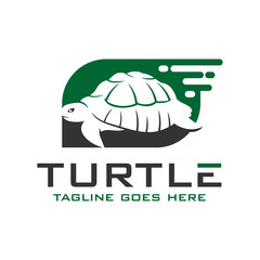 turtle logo design template