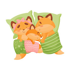 Family of foxes sleeps in bed. Vector illustration on a white background.