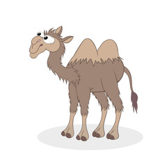 camel. Isolated illustrations on a white background in cartoon style. Design element.