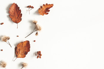Autumn composition. Dried leaves, flowers, rowan berries on white background. Autumn, fall, thanksgiving day concept. Flat lay, top view, copy space