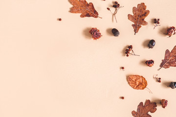 Autumn composition. Frame made of oak leaves, flowers, acorns on beige background. Autumn, fall concept. Flat lay, top view, copy space © Flaffy