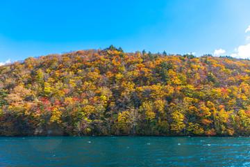Obraz premium Beautiful autumn foliage scenery landscapes. Fall is full of magnificent colors. View from Lake Towada sightseeing Cruise ship. Clear blue sky, water, white cloud, sunny day background. Aomori, Japan