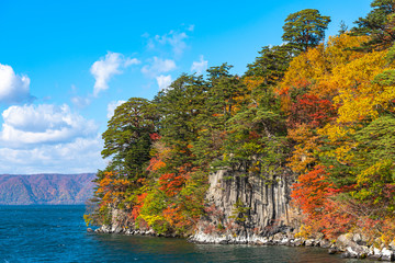 Obraz premium Beautiful autumn foliage scenery landscapes. Fall is full of magnificent colors. View from Lake Towada sightseeing Cruise ship. Clear blue sky, water, white cloud, sunny day background. Aomori, Japan