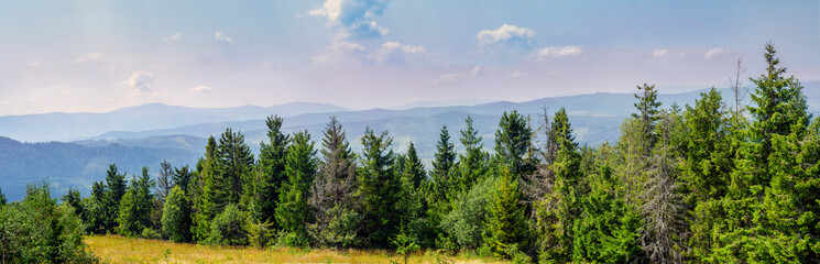 Panorama of nature